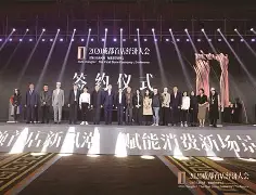 莱斯特城夺冠赛季