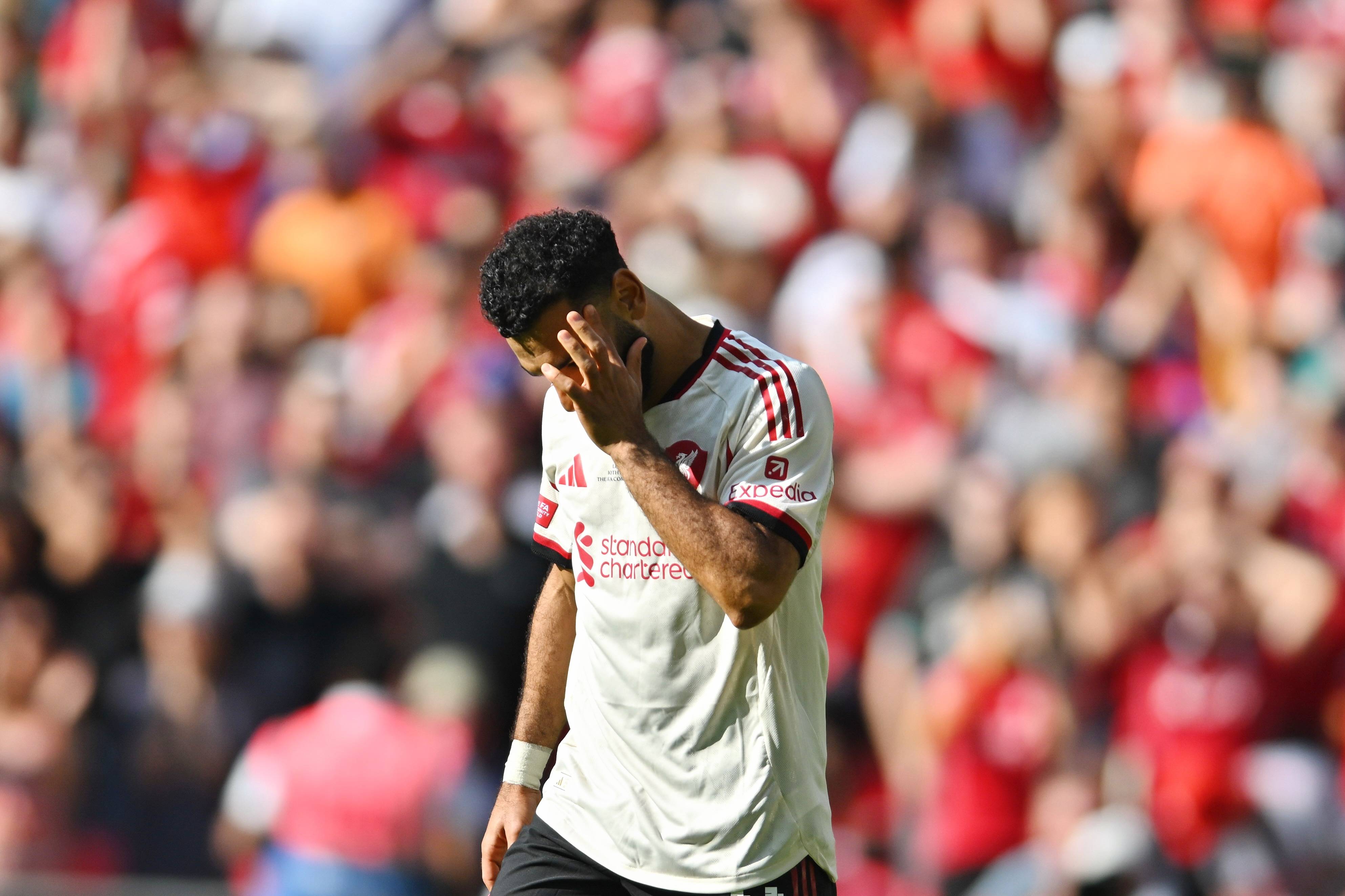 半岛体育娱乐-完美的黄金回旋