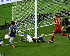 半岛体育娱乐-里尔解约老将球员,引发球迷热议是真的吗