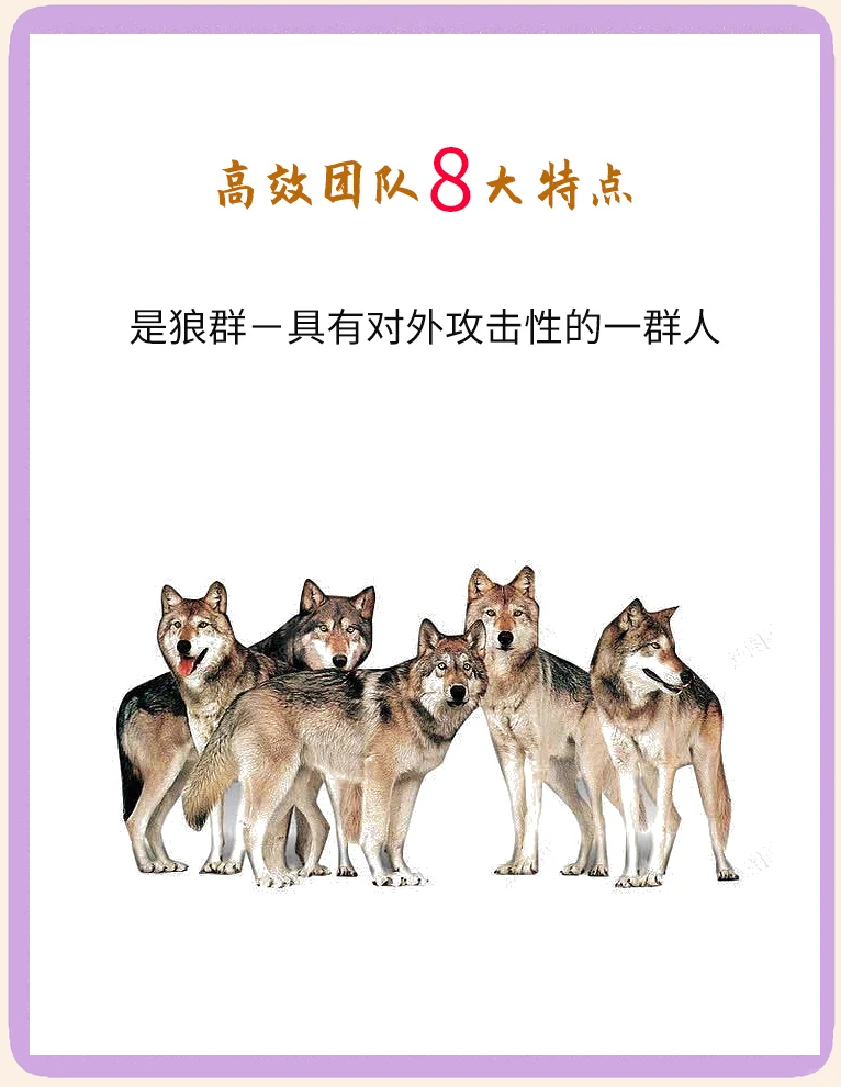 半岛体育-队伍的团结合作在比赛中彰显出巨大优势英语