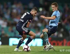 半岛体育APP-澳大利亚足球协会