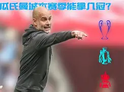 半岛体育娱乐-谢菲联最近战绩