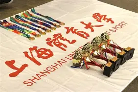 半岛体育-高水平运动员百度百科