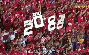 樊振东许昕赛前训练