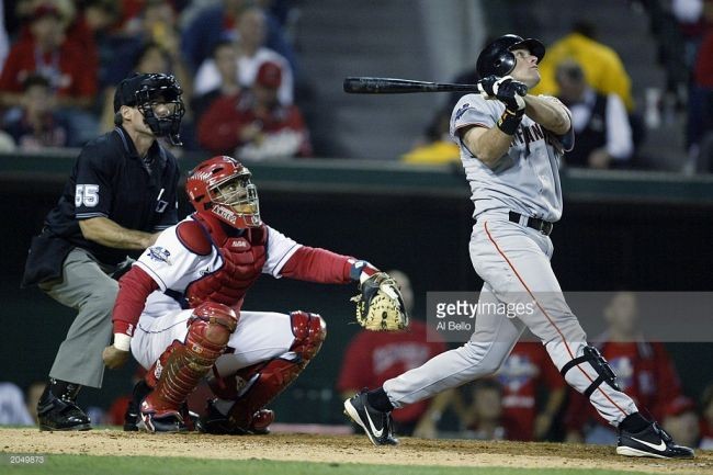 半岛体育APP-天使队成员