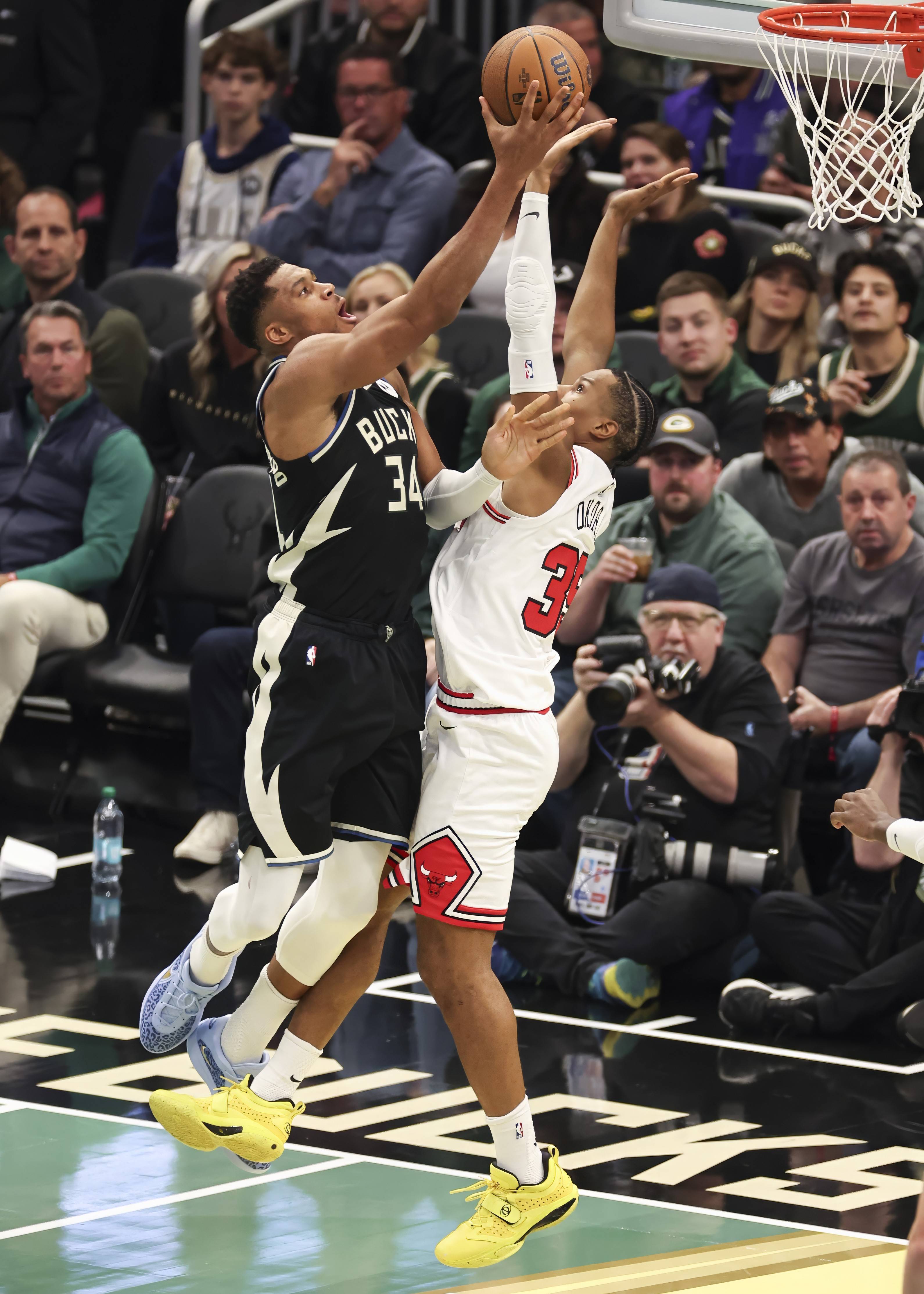 半岛体育-老鹰队和雄鹿